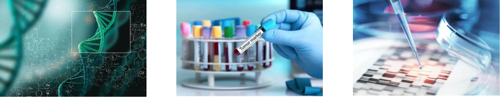 大奖国际(中国)最新官方网站