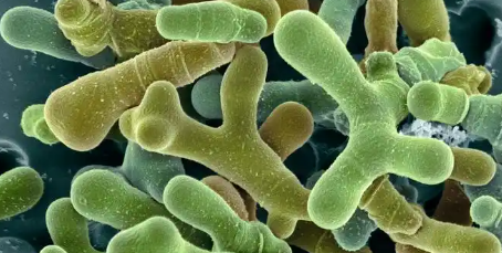 大奖国际(中国)最新官方网站