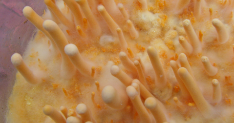 大奖国际(中国)最新官方网站