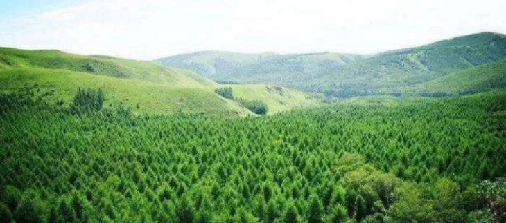 大奖国际(中国)最新官方网站