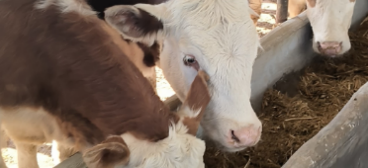 大奖国际(中国)最新官方网站