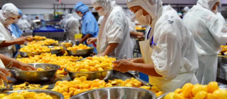 大奖国际(中国)最新官方网站