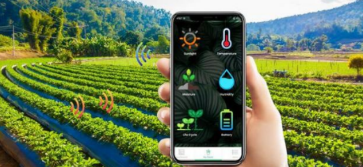 大奖国际(中国)最新官方网站