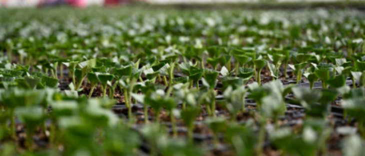 大奖国际(中国)最新官方网站