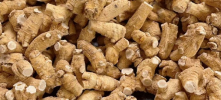 大奖国际(中国)最新官方网站