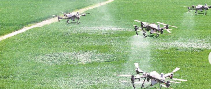 大奖国际(中国)最新官方网站