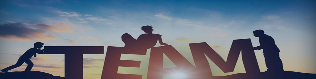 大奖国际咨询团队